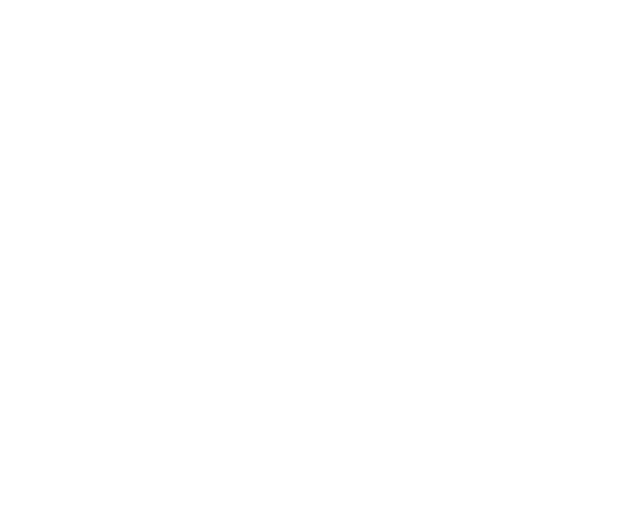 BMD_80th_logo_white