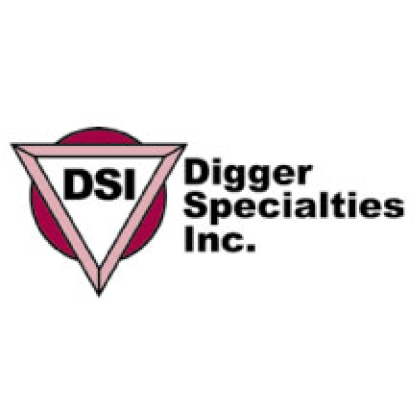 DSI Logo