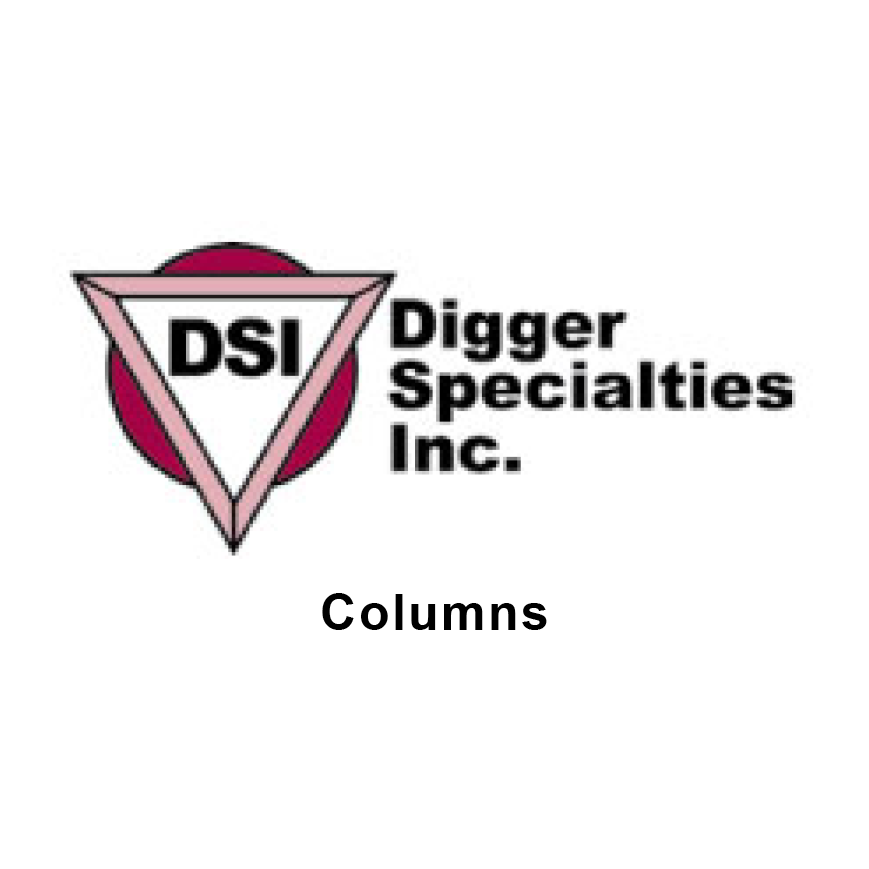DSI_Columns_GalleryLogo DSI_Columns_GalleryLogo