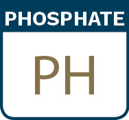 Phosphate coating
